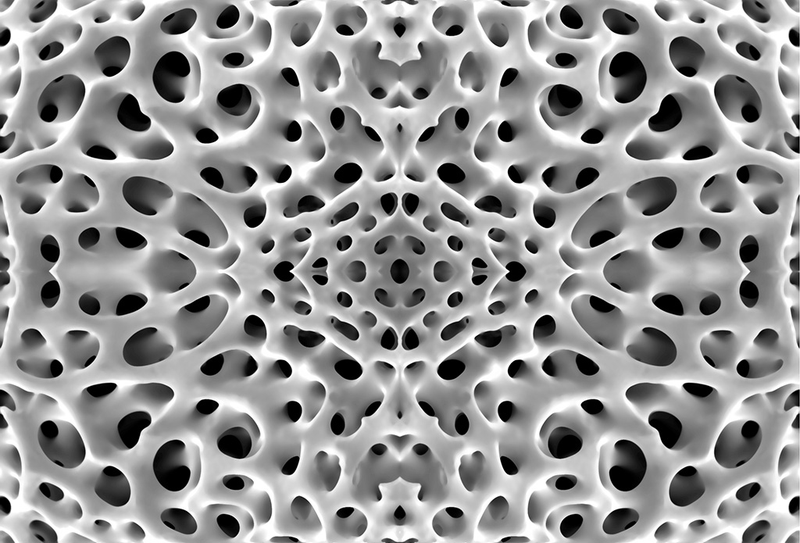 Illustration for article titled Photos of the Amazing and Gruesome World Under a Microscope